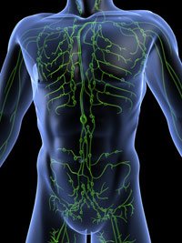 Lymphatic Drainage